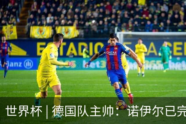 世界杯 | 德国队主帅：诺伊尔已完全康复